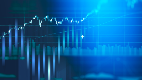 Cattle Futures Fall Despite Firm Cash Trade
