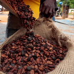 Cocoa Falls as Coffee Hits Fresh Low