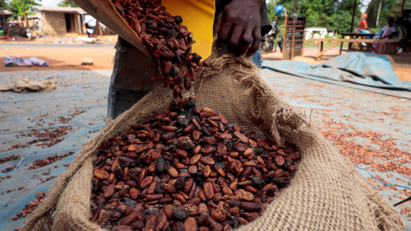Cocoa Falls as Coffee Hits Fresh Low