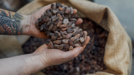 Cocoa Futures Surge as Supply Fears Return