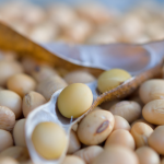 CBOT soybean futures rebound from four-month lows as traders assess crop weather, crude oil and soyoil stocks