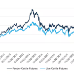 CME Cattle Futures Rise on Screwworm Supply Risk