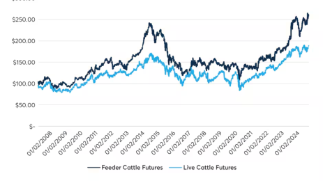 CME Cattle Futures Rise on Screwworm Supply Risk