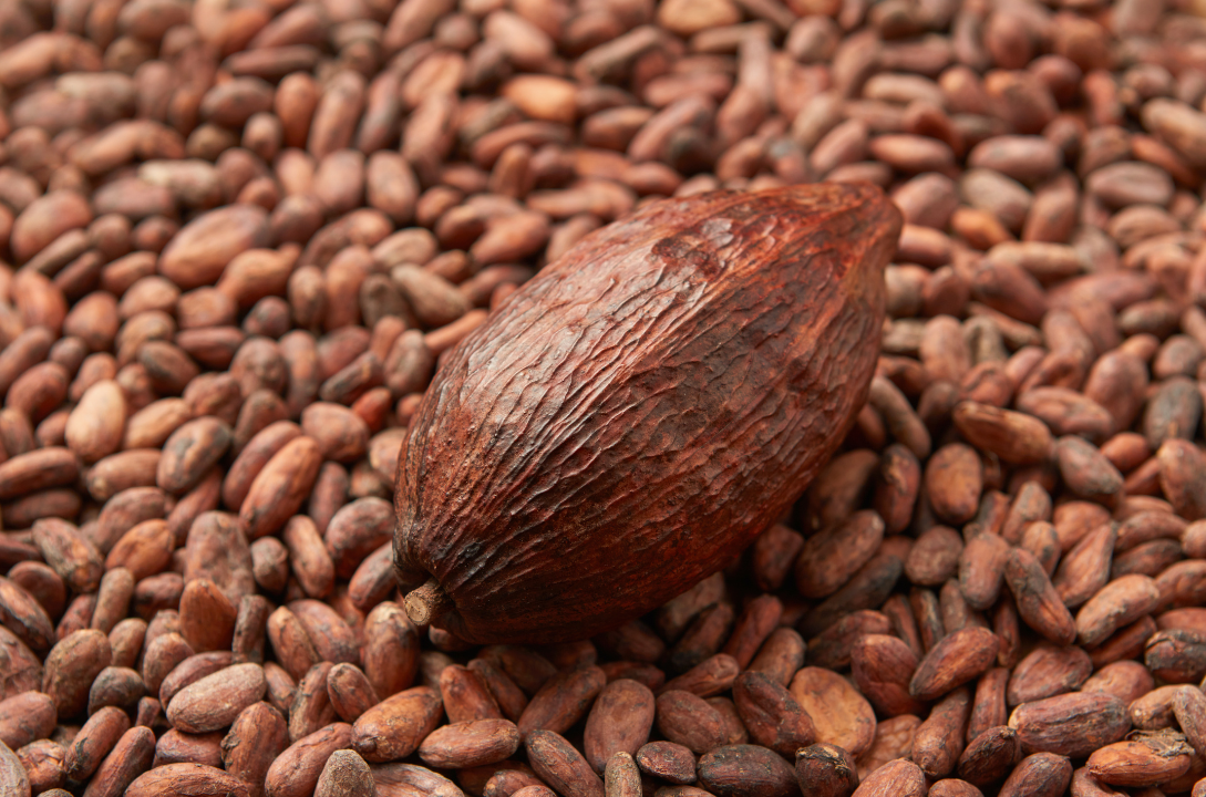 Cocoa Hits Three-Week High as El Niño Risks Rise