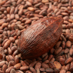 Cocoa Hits Three-Week High as El Niño Risks Rise