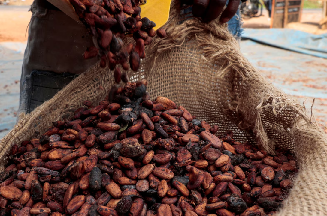 Coffee Slips as Super El Niño Risks Drive Volatility