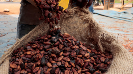 Coffee Slips as Super El Niño Risks Drive Volatility
