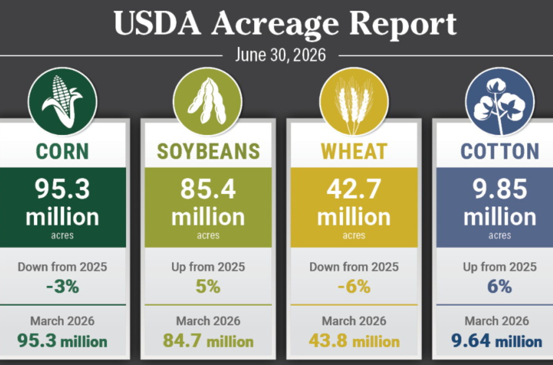 CBOT Corn and Soybeans Fall Before USDA Reports