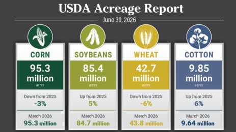 CBOT Corn and Soybeans Fall Before USDA Reports