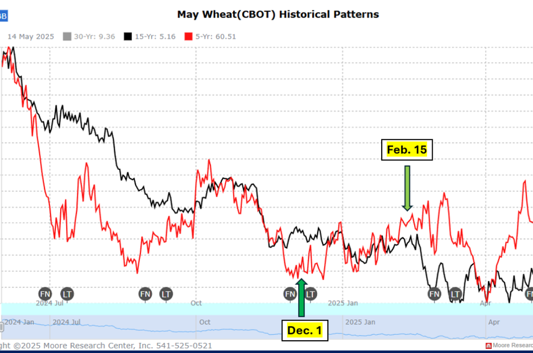 Wheat Futures Retreat as Export Data Weighs