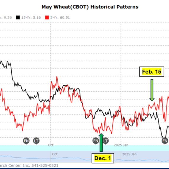 Wheat Futures Retreat as Export Data Weighs